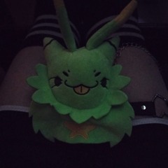 SupMiao