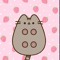pusheen lover❤️