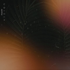 PalmVision Official
