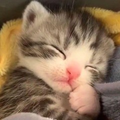 Artemis