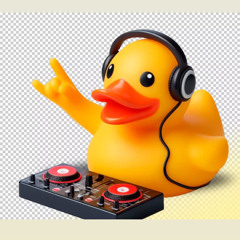 DrDuck72