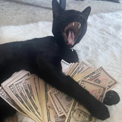 beezt