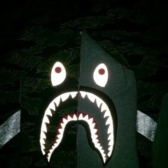 신연호