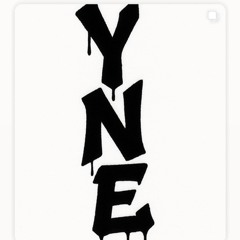 YNE METRO