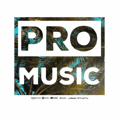 Pro Music’s avatar