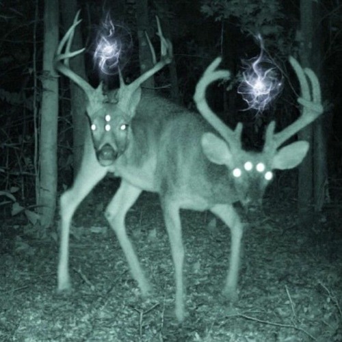 !draggette- im tired v5