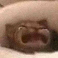 chtozabredblyat'