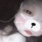 Thanh van