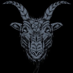 RXXN