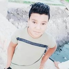 مصطفى السيد