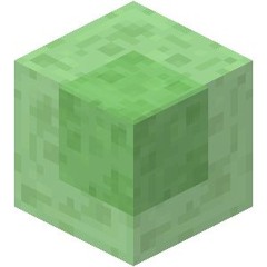 slimeblock31