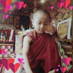 Dorji Max