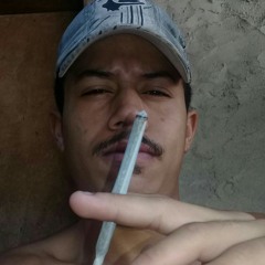 BL BL ✌