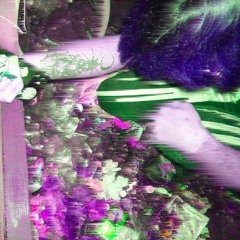hydravegetal