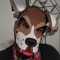 Pup Tony ^_^