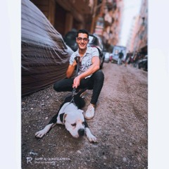 sakr