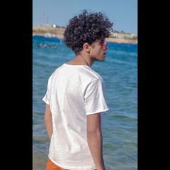 Mohamed A. Kenawy