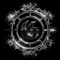4EVER Collective