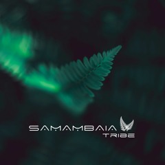 Samambaia Tribe