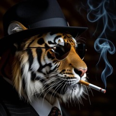 Kaizer Tiger