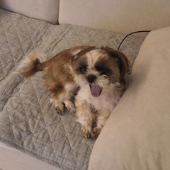 숙제용 계정임 사진 퍼가지 마셈