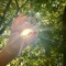 sun sowa