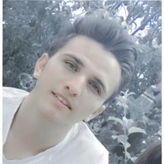 h0seinhd