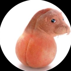 БЛЯДСКИЙ ОПЕР