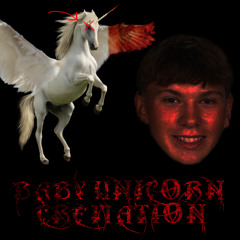 Baby Unicorn Cremation