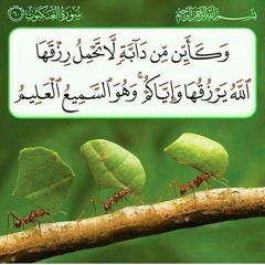 كيف استقيم