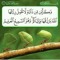كيف استقيم