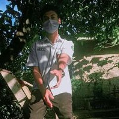 Reni Sintia