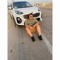 Shady Rizk