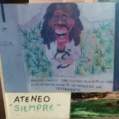 Sebastian Andrade