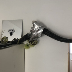 Flavia Elena Muntean