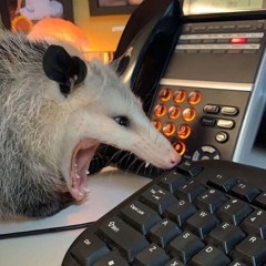 PossumWithKeyboard