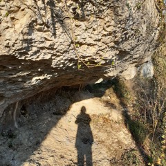 selva