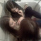 whor3kll