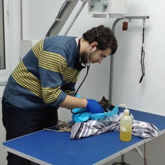 Ahmad Nammas