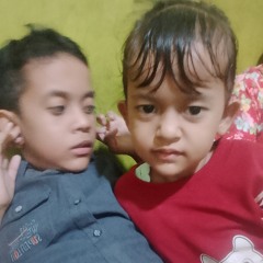 Abdul Razak Nasution