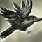 The Raven