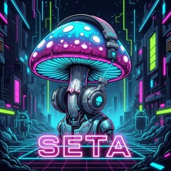 Seta.mp3