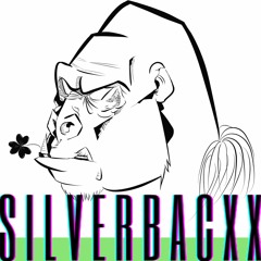 SilverBacxx
