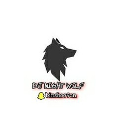 Dj NiGHT WoLF