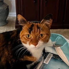 LYNN PAUL PIERRE / KDX Productions