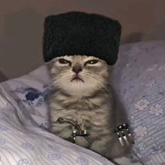 Ян Чепелевич