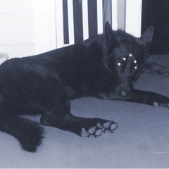 BLUDDYHOUNDZZ
