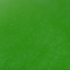 YANIMULA