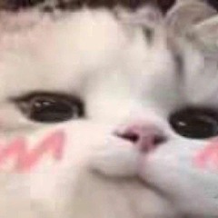 mimi