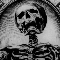 blackskeletonz